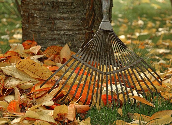 2022 Spring Leaf Collection Schedule Announced - Bricktown Online