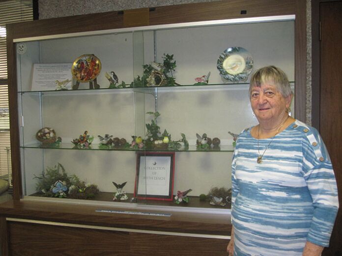 BRICK-historical-bird-display-PHOTO-1