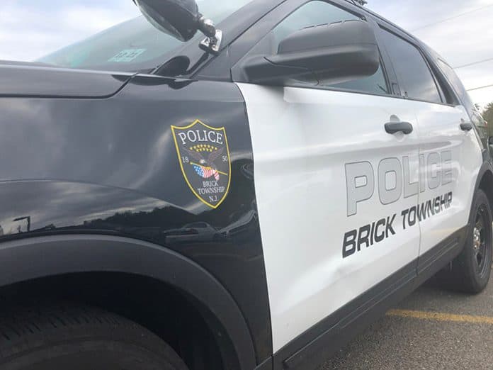 brick-police-car