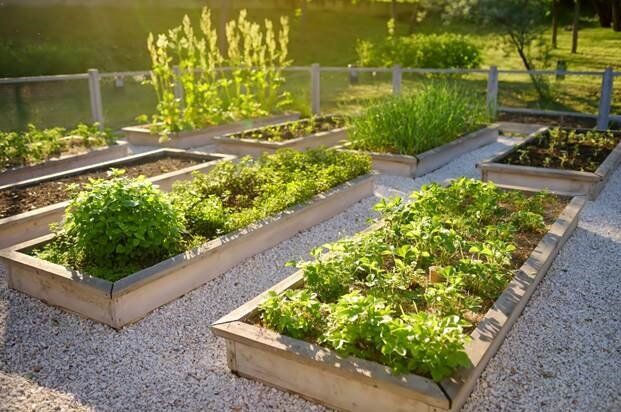 gardens