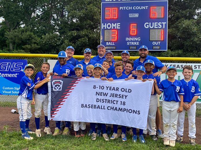 p-brick-little-league