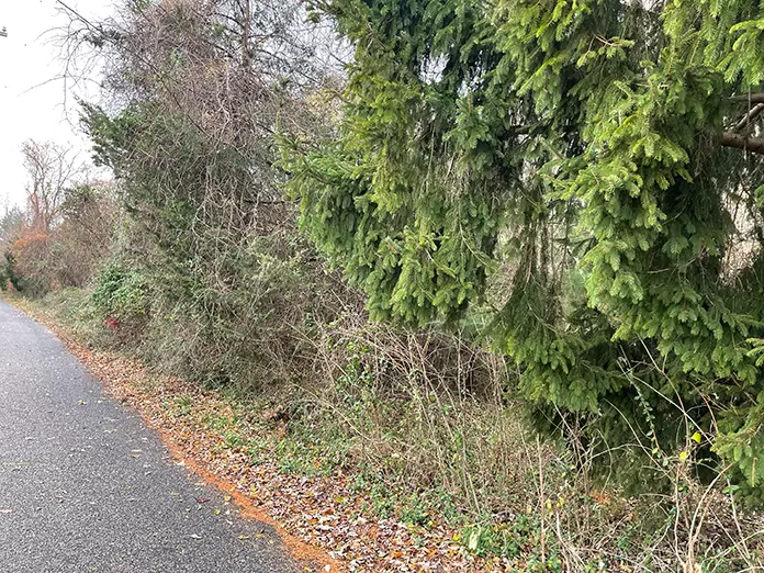 1-20-bower-lane